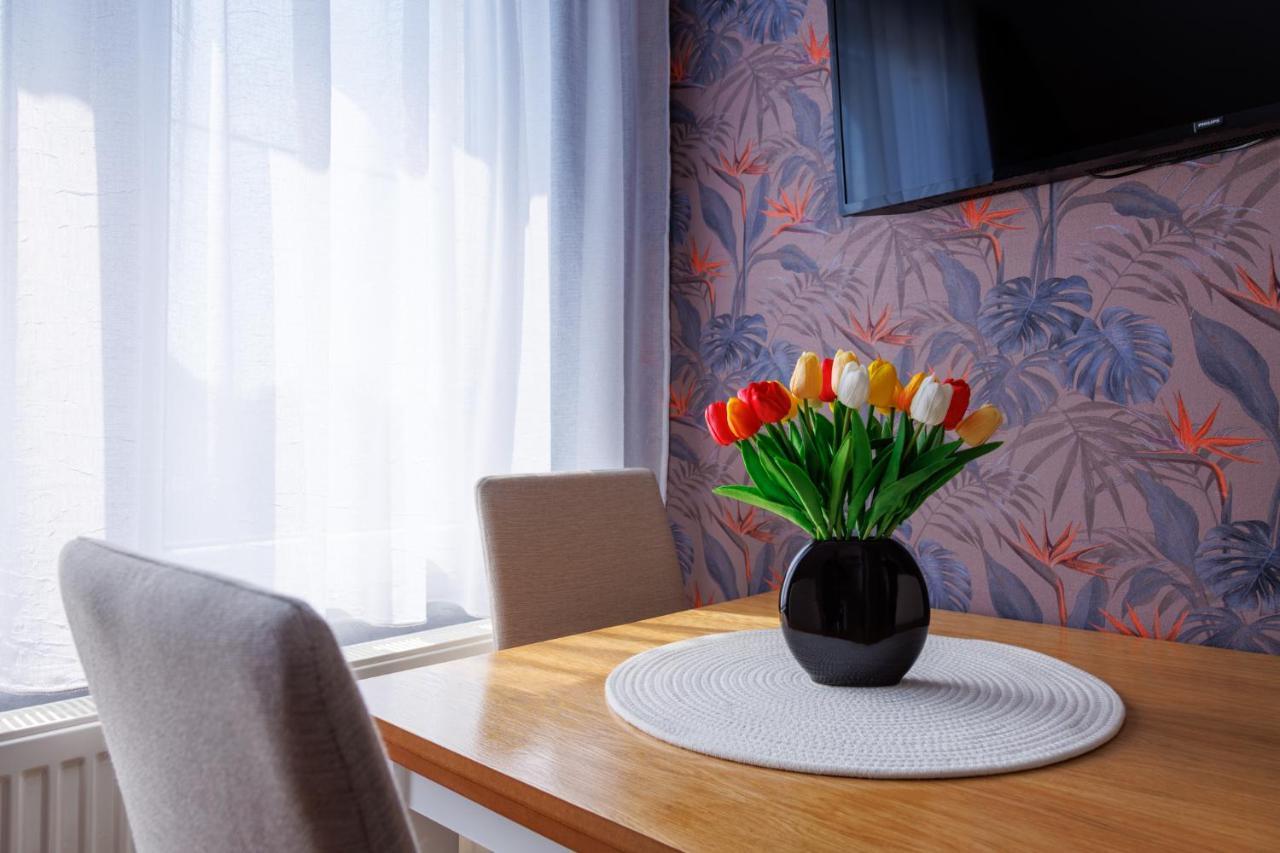 Apartmani Nina Golubac Exteriér fotografie
